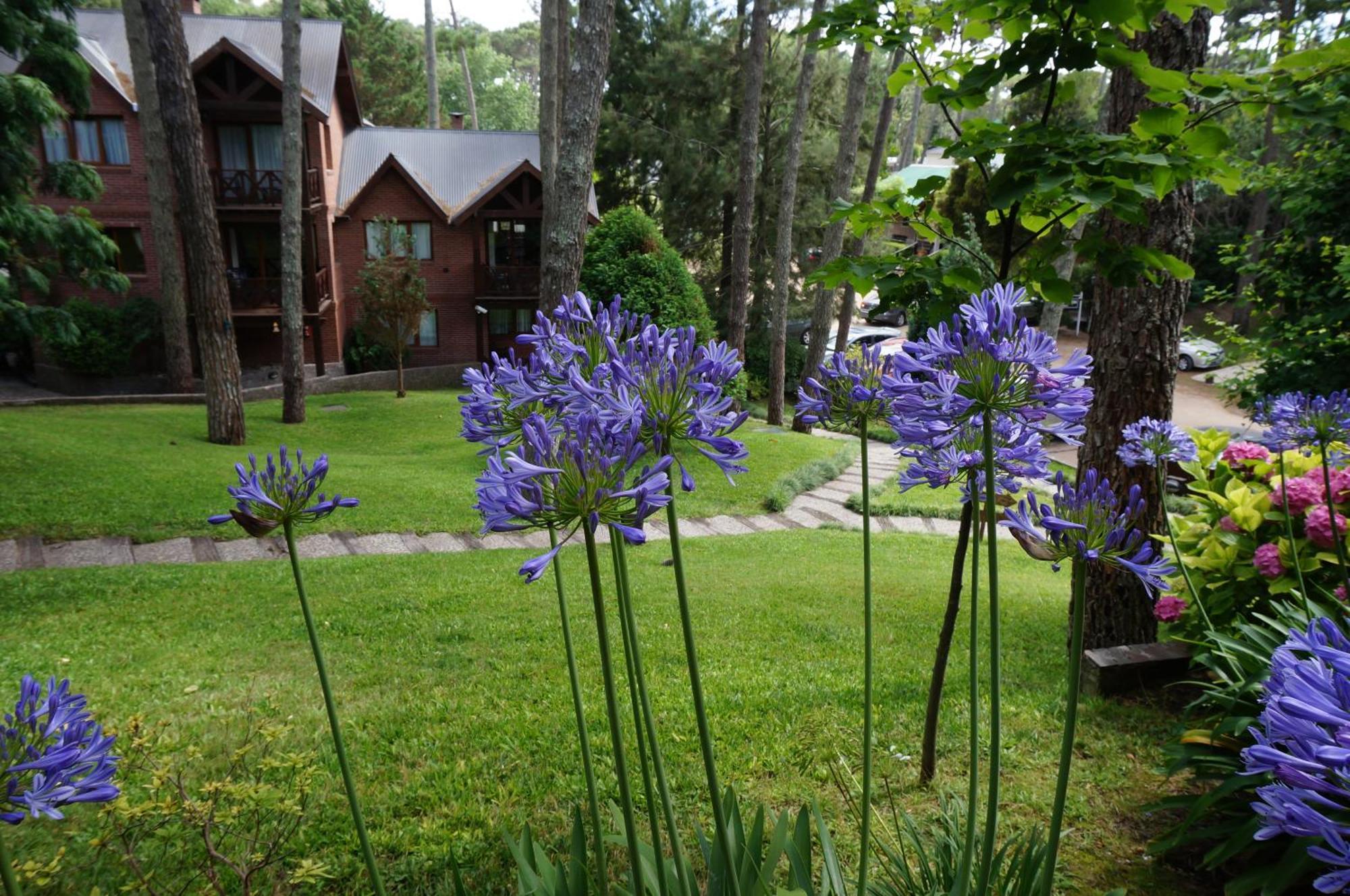 Vila Refugio Del Bosque Carilo Exteriér fotografie